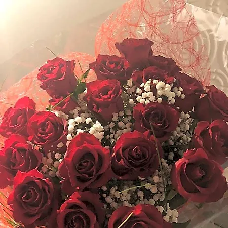 Spabyelleetlui Rouge Ou Bleu Hotel del amor