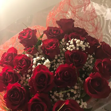 Spabyelleetlui Rouge Ou Bleu * 무스크론