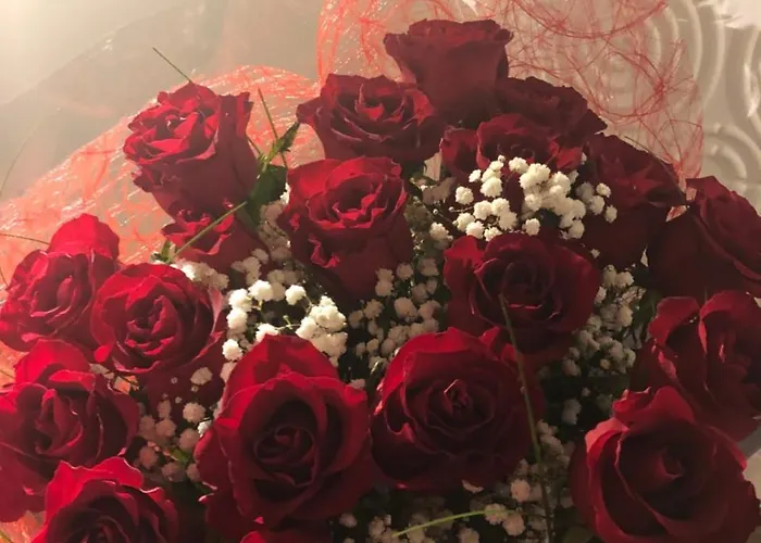 Spabyelleetlui Rouge Ou Bleu * Mouscron